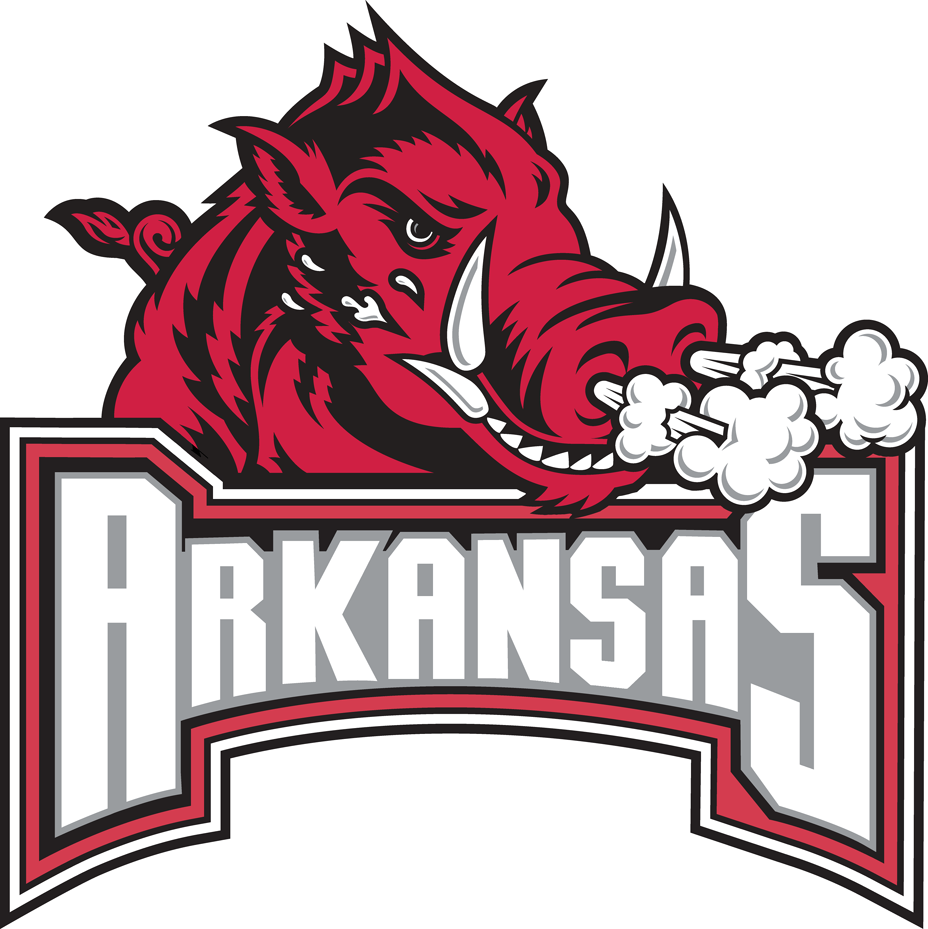 Arkansas Razorbacks 2001-2008 Secondary Logo t shirts DIY iron ons